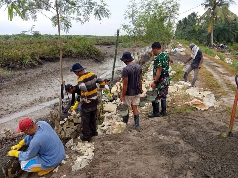Jelang Penutupan TMMD Kodim 0208/Asahan, Satgas Berpacu Tuntaskan Pembangunan Turap, Abaikan Akhir Pekan Demi Pengabdian