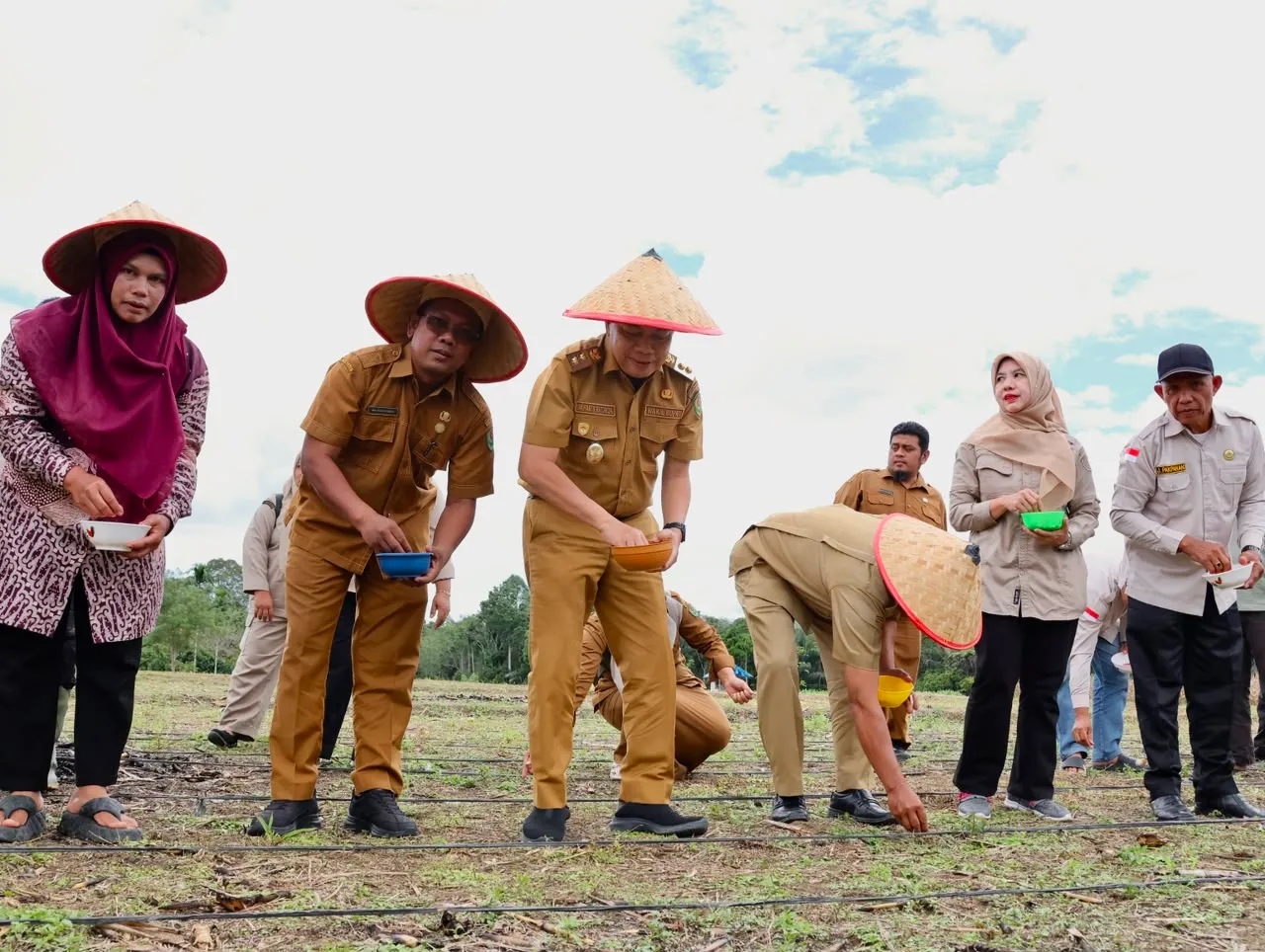 Tapsel Gerakan 10.000 Hektare Jagung, KWT di Arse Tanam Perdana