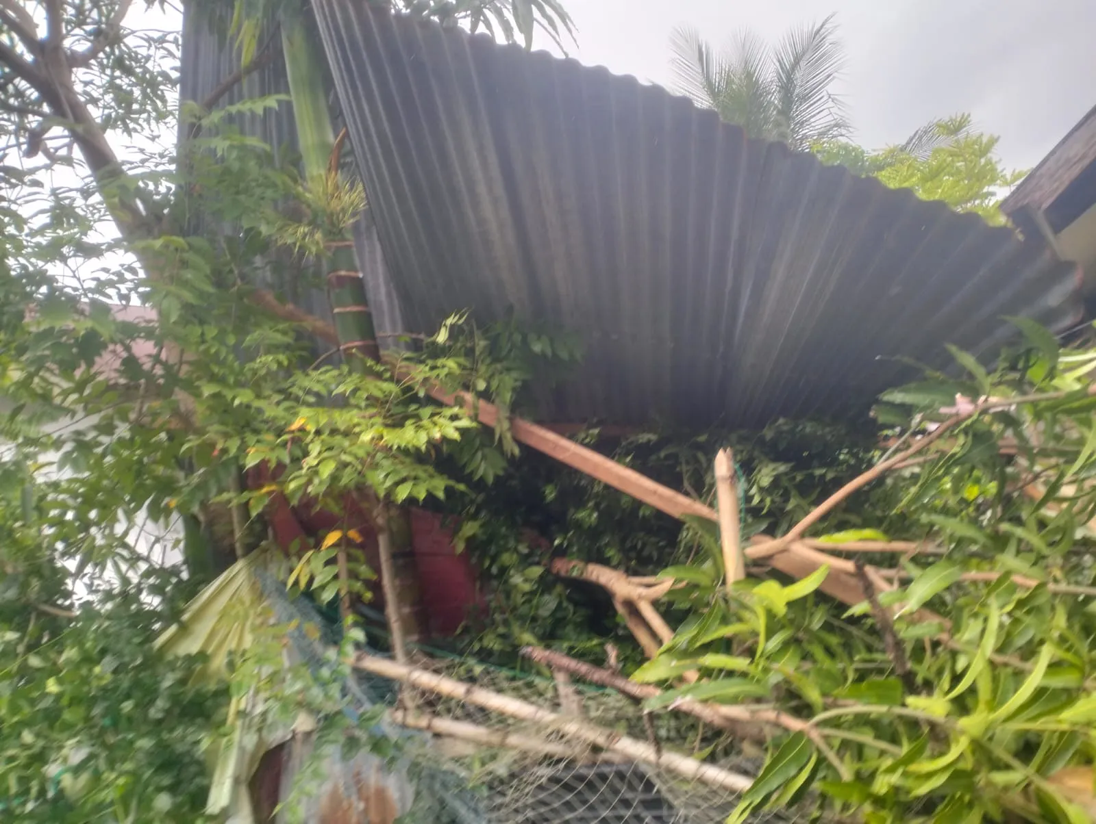Cuaca Ekstrem di Aceh Besar, Hempaskan Atap Rumah Warga