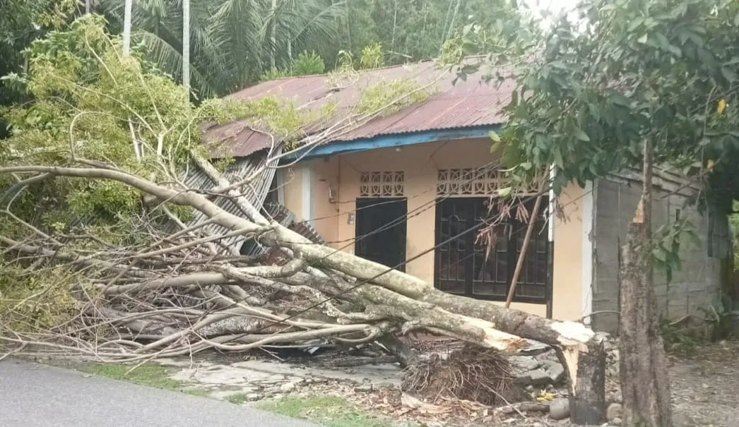 Angin Kencang Tumbangkan Pohon Timpa Rumah Janda Lansia di Abdya Rusak