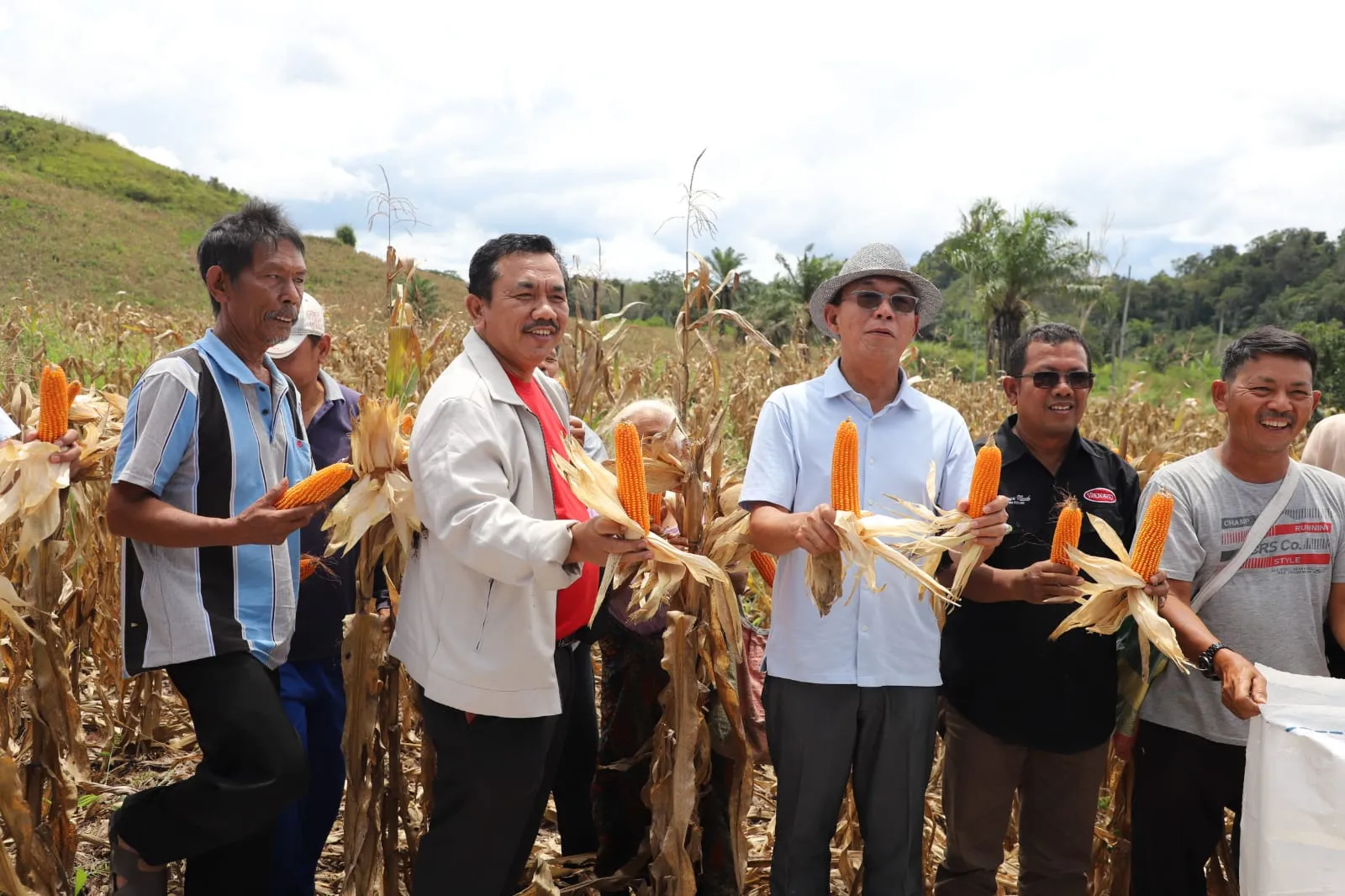 Bupati Tapsel Panen Jagung 20 Hektare di SDH