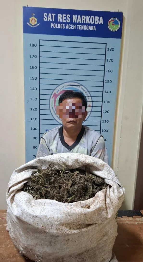 Satresnarkoba Polres Aceh Tenggara Amankan Pria Miliki Ganja 4,7 Kg
