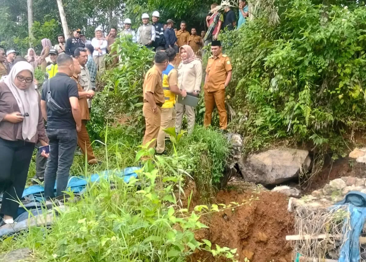 Wakil Bupati Madina Tinjau Irigasi Aek Roburan yang Jebol, 500 Hektare Sawah Terancam Kekeringan