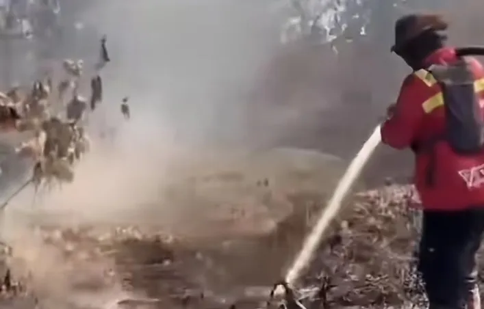 Dari Riau Hingga Kalimantan Rawan Karhutla