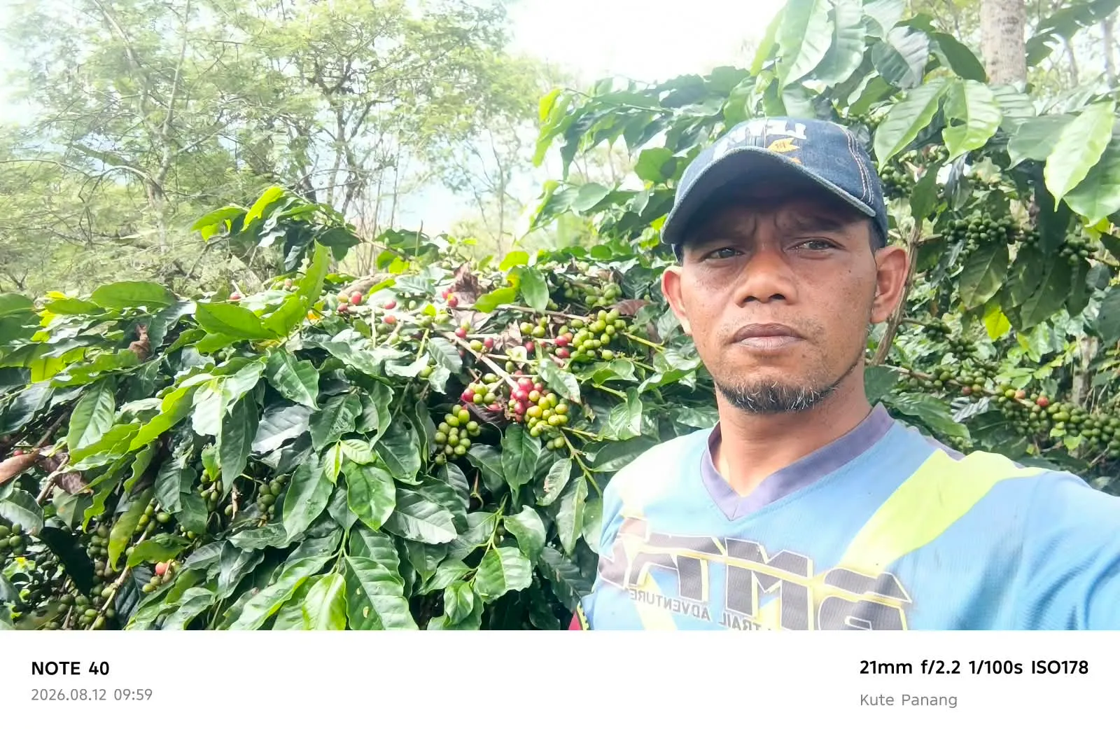 Dari Kemerdekaan ke Inovasi: Jurnalisme, Pariwisata, Pemberantasan Korupsi dan Kopi Gayo Menuju Indonesia Emas
