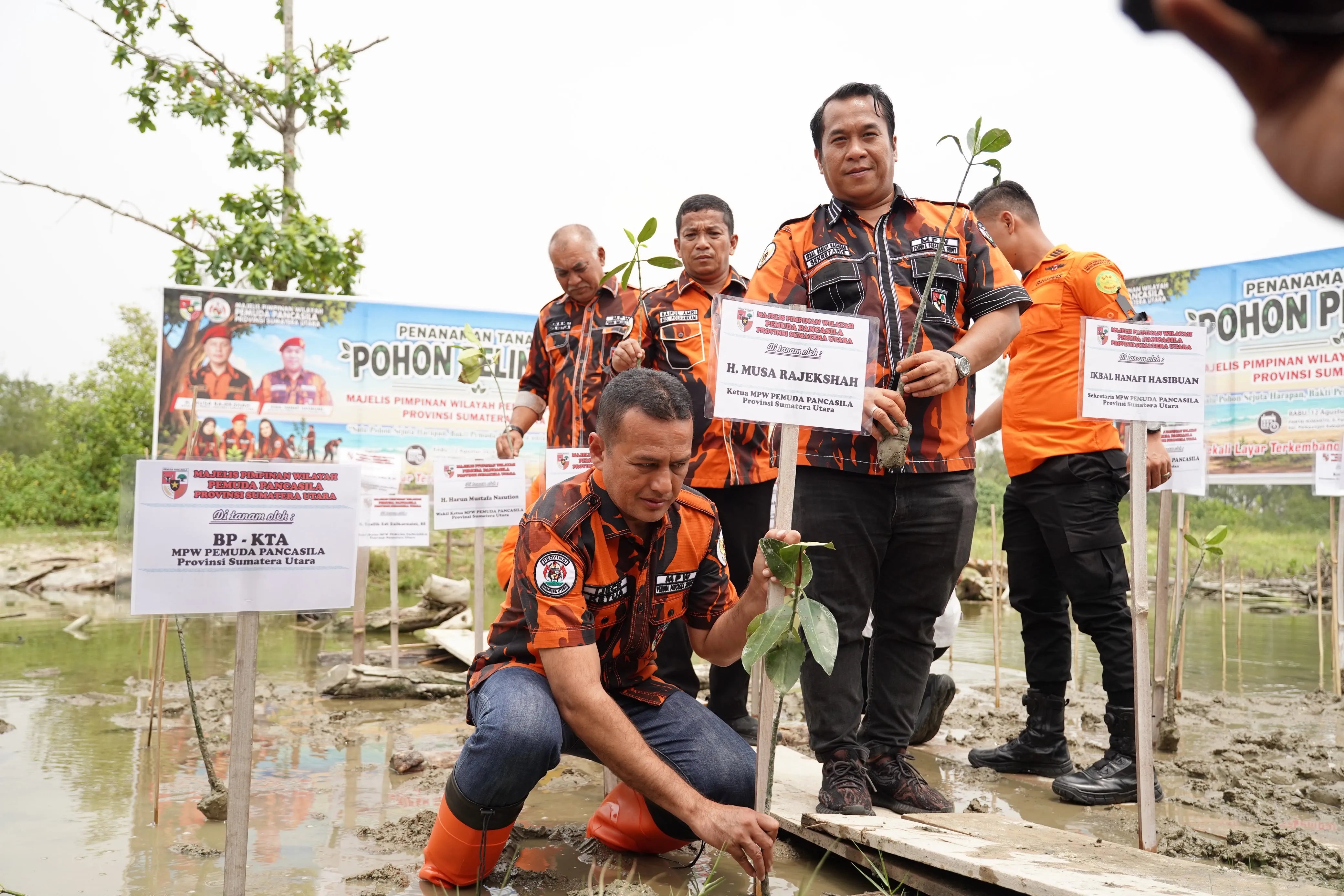 MPW Pemuda Pancasila Sumut Tanam 2000 Pohon di Pantai Romantis, Sergai
