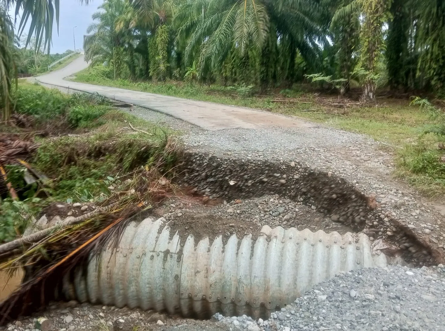 Jalan Cot Seumantok Abdya Putus, Akses Ribuan Hektare Perkebunan Lumpuh