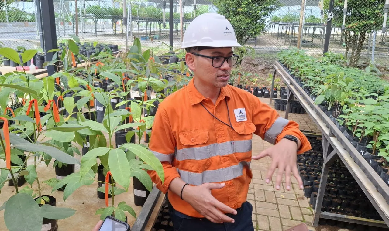 PT AR Kembangkan Mikoriza, Perkuat Reklamasi Tambang Berbasis Tanaman Lokal