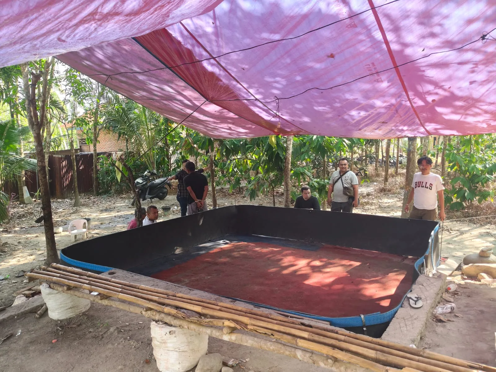 Terima Laporan Warga, Polsek Panyabungan Bongkar Judi Sabung Ayam