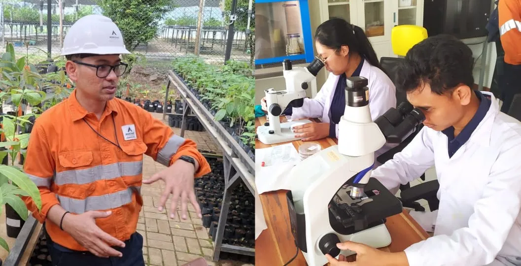 Strategi PTAR Lindungi Satwa Liar di Hutan Batangtoru, dari Data hingga Jembatan Arboreal