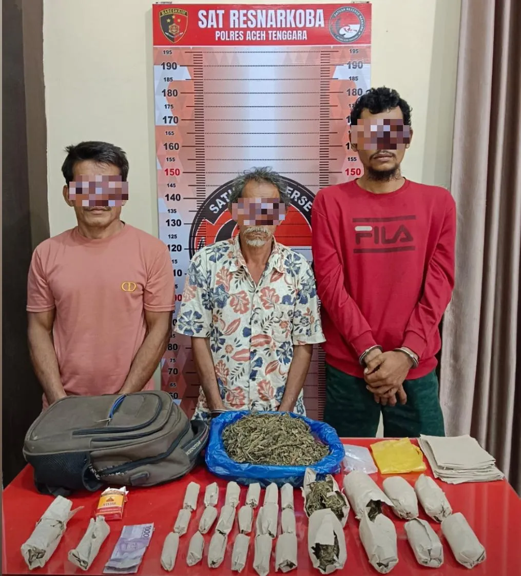 Polres Agara Amankan 3 Pelaku dan Ganja 708,82 Gram