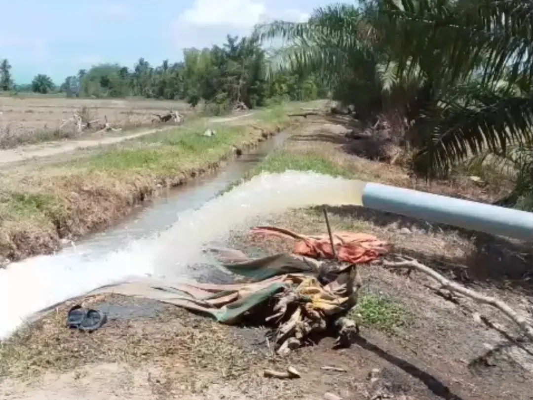 Petani Kawasan Terparah Terdampak Banjir Manfaatkan Air Saluran Pembuang