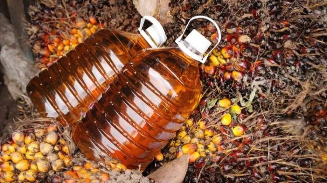 Harga CPO Pekan Ini Berpeluang Kembali Menguat