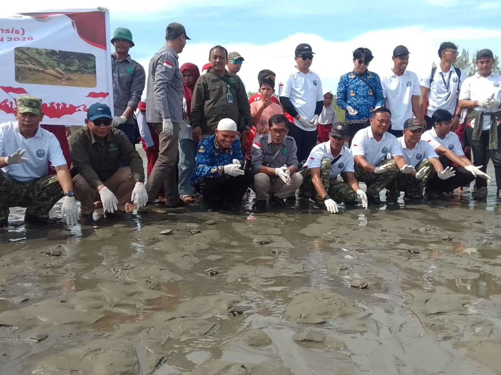 640 Anakan Tuntong Laut Dilepas ke Habitatnya: Ujung Tamiang Pusat Konservasi Pelestarian Tuntong Laut