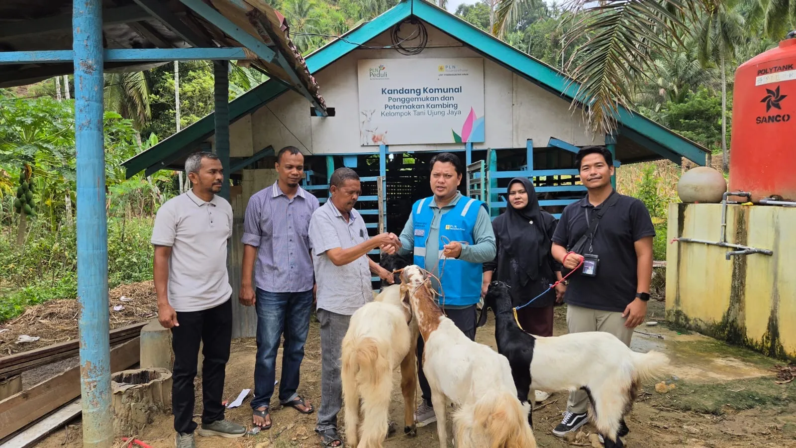 PLN NP UP Arun Dongkrak Kemandirian Kelompok Tani dalam Penggemukan dan Peternakan Kambing
