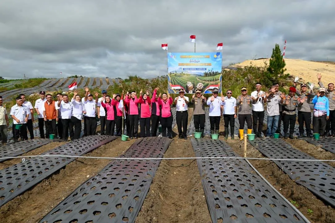 Bupati dan Kapolres Humbahas Ikuti Vidcon dan Laksanakan Gerakan Penanaman Bawang Putih Serentak