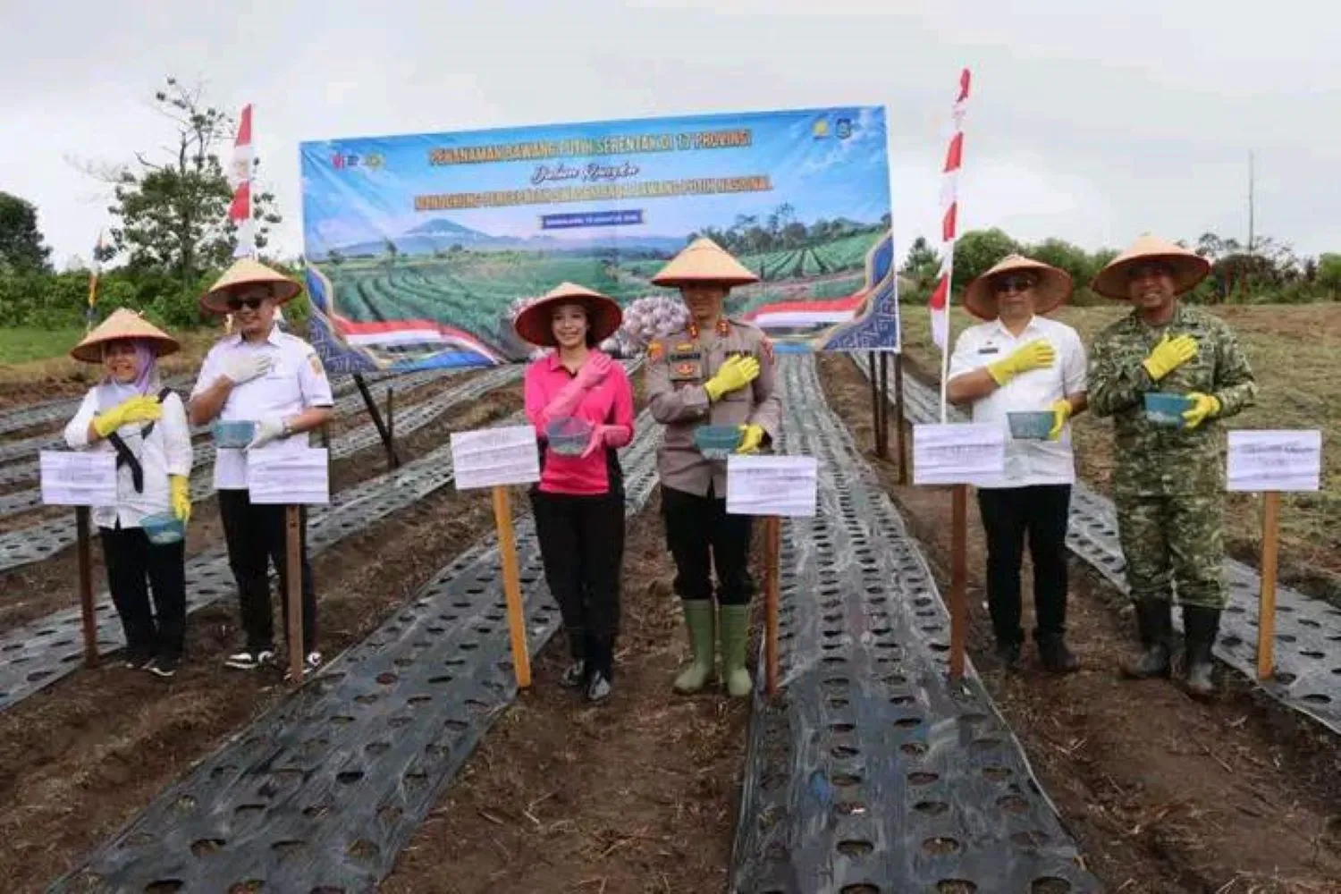 Dairi Ikut Gerakan Tanam Bawang Putih Serentak, Percepat Swasembada Nasional