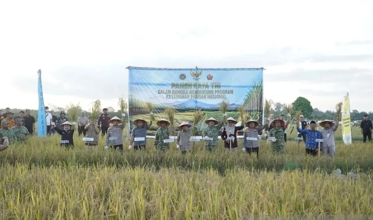 Panen raya padi program TNI di Jambi dukung ketahanan pangan nasional