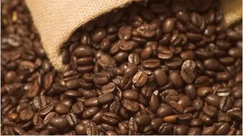 Dari Kotoran Hewan Hingga Catatan Sejarah Dunia, Ini 10 Kopi Termahal di Dunia