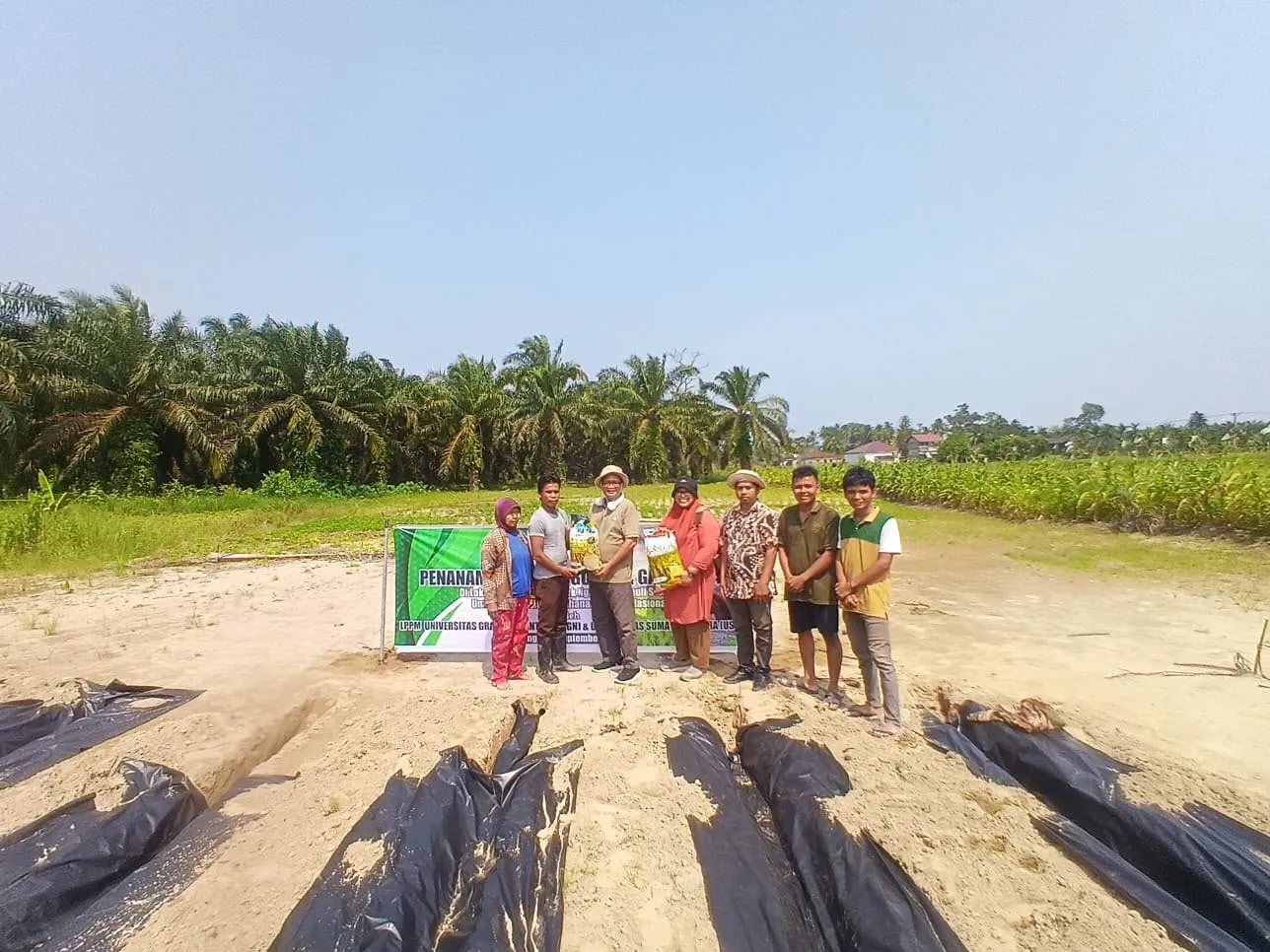 LPPM USU Dan UGN Uji Varietas Padi di Lahan Sawah Bekas Banjir Tapsel