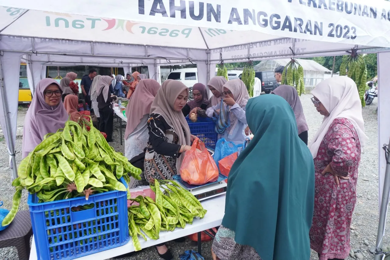 Distan Aceh Besar Hidupkan Kembali Pasar Tani