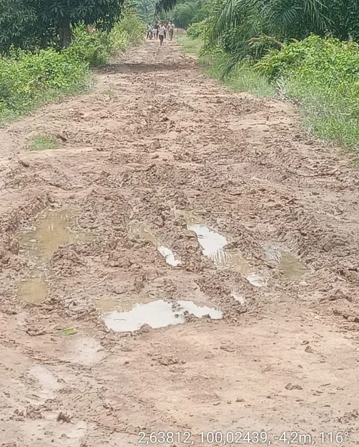 18 Tahun Labura, Warga Desa Tanjung Mangedar Mimpikan Pembangunan Jalan