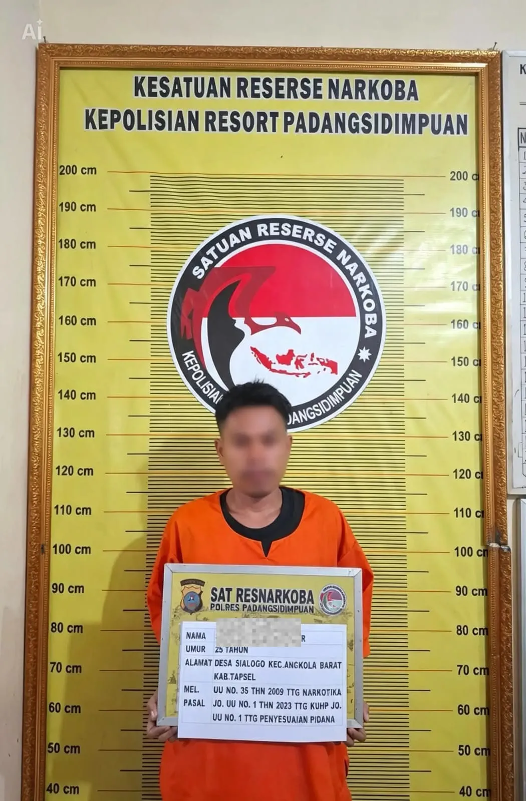 Polres Sidimpuan Tangkap Pengedar Ganja Antarkabupaten, 26 Ball Diamankan