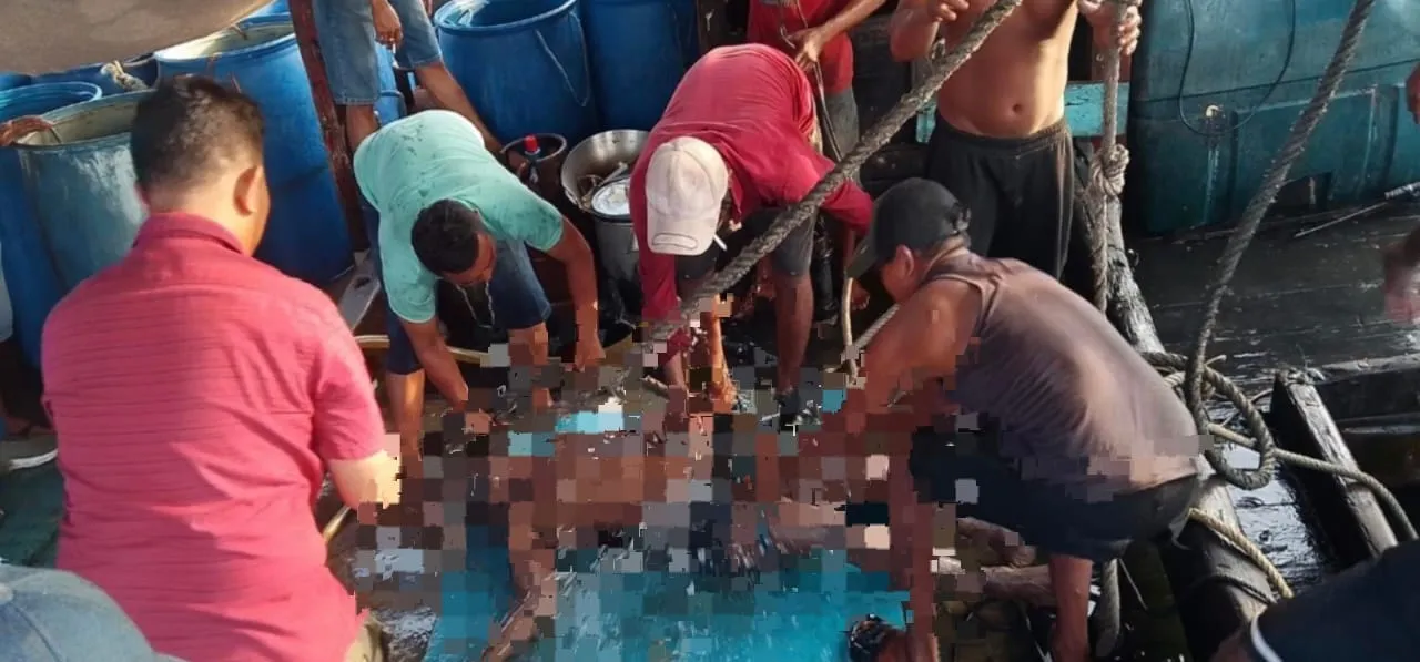 Saat Mencari Nafkah di Tengah Laut, Tiga ABK KM Pulau Samosir Tewas di Dalam Palka