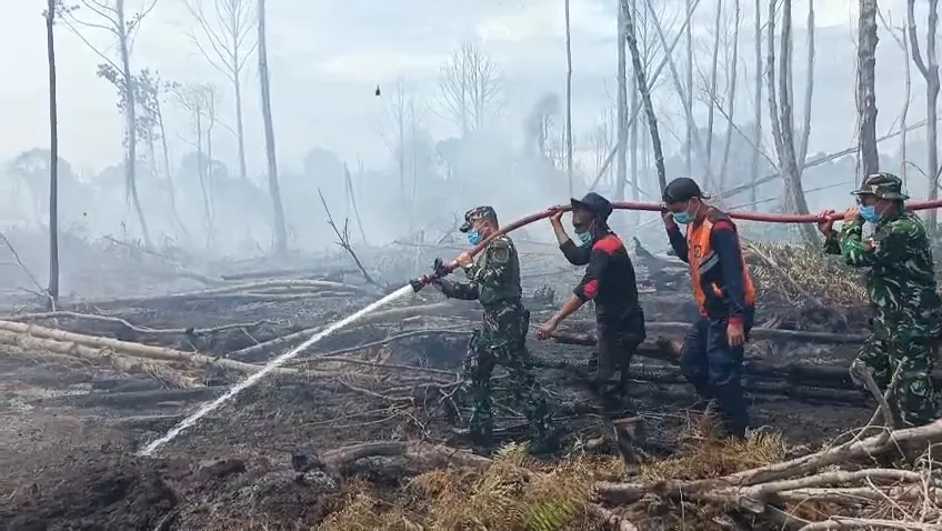Karhutla Bakongan Makin Mengganas, 19 Hektare Lahan Terbakar, Ujung Mangki Masih Berkobar