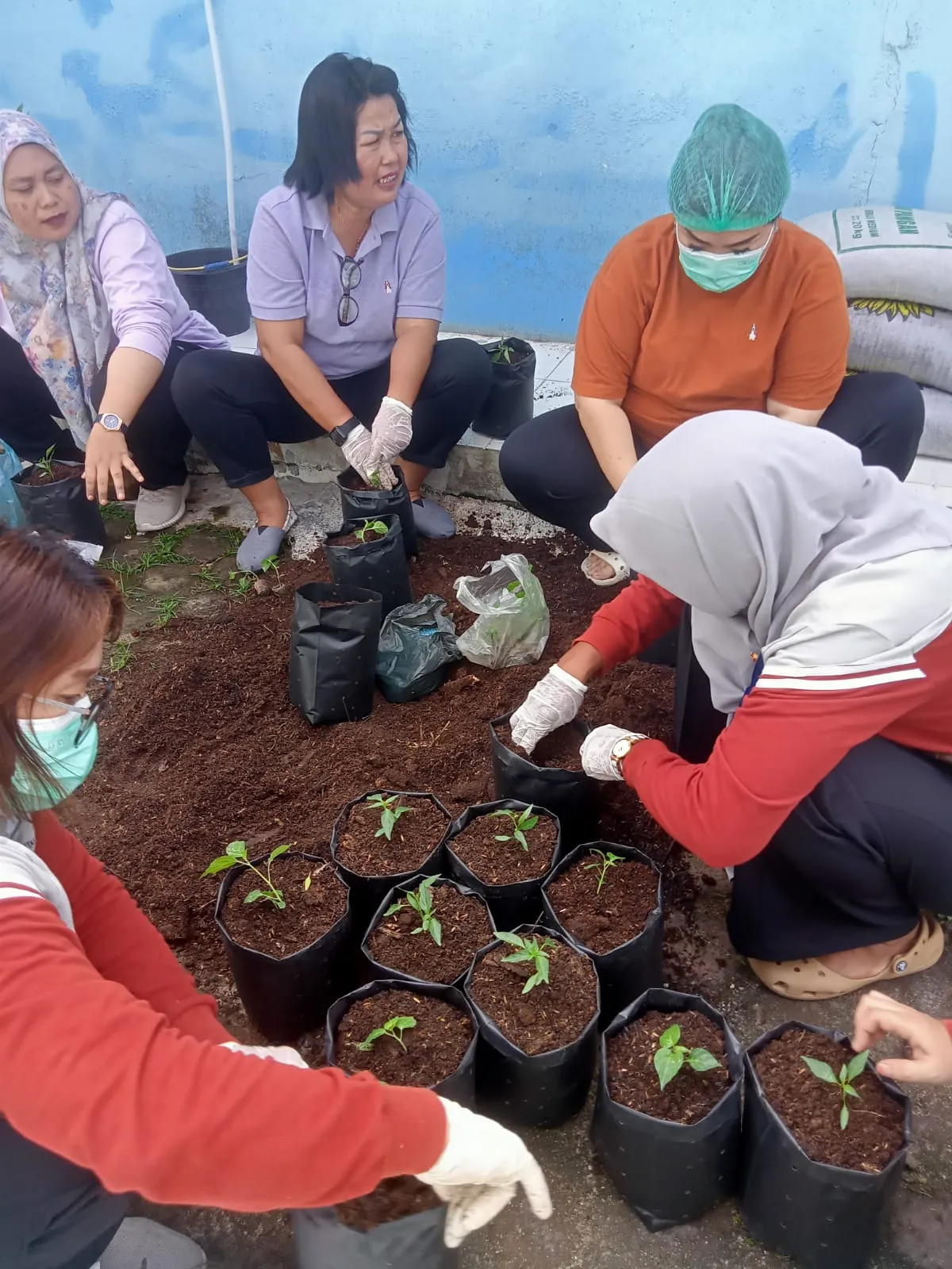 Puskesmas Pantai Labu Gelar Gotong Royong dan Tanam Cabai
