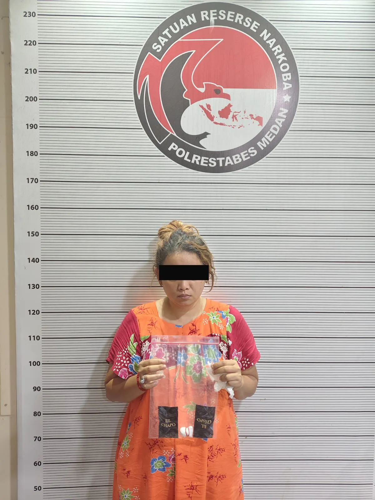 Oknum Kepala Lingkungan Wanita di Medan Ditangkap Polisi karena Edarkan Narkoba