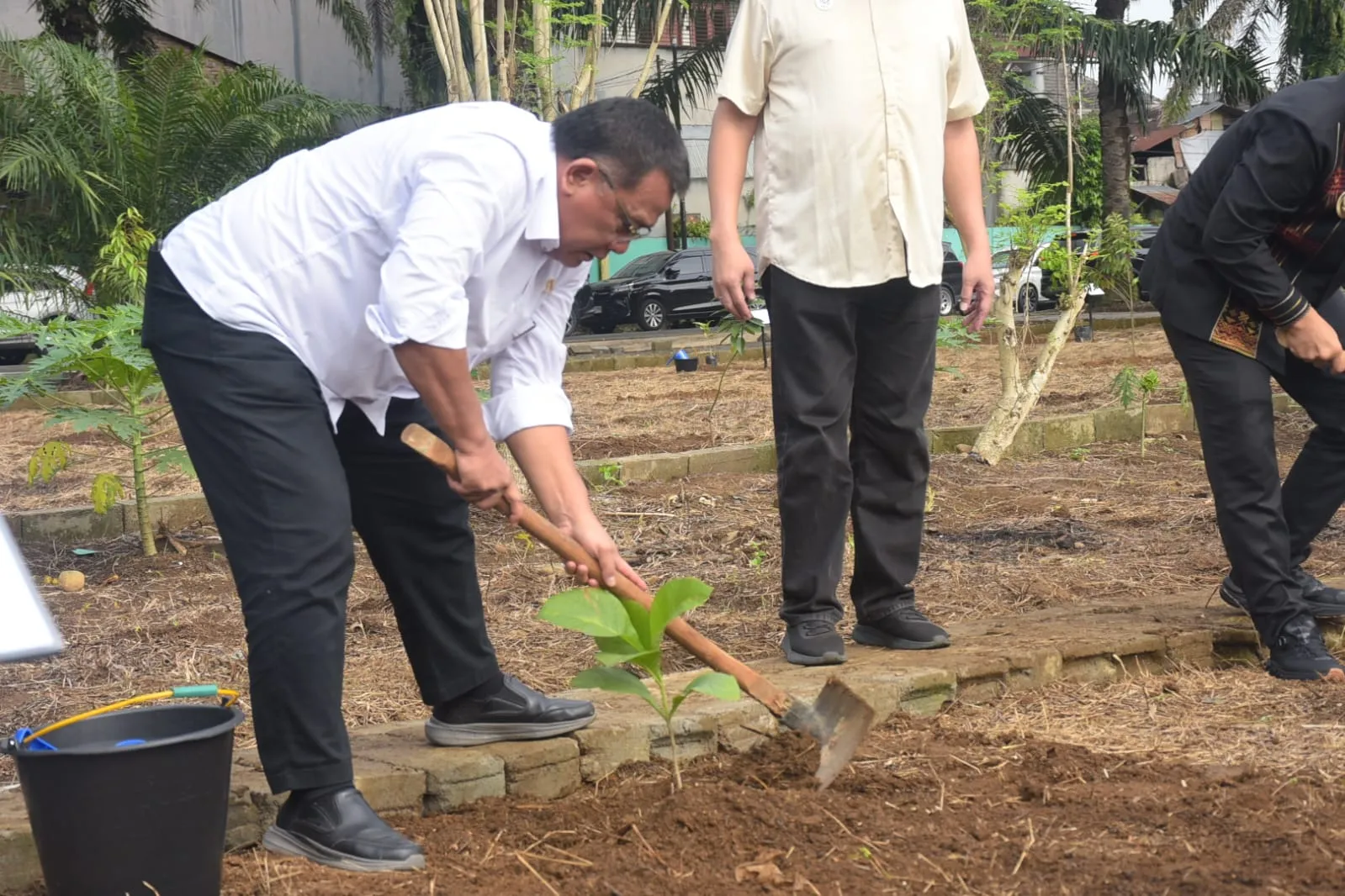 Gerakan Pemilihan Lingkungan, Menteri Lingkungan Hidup Hadiri Penanaman Jati Merah di UISU
