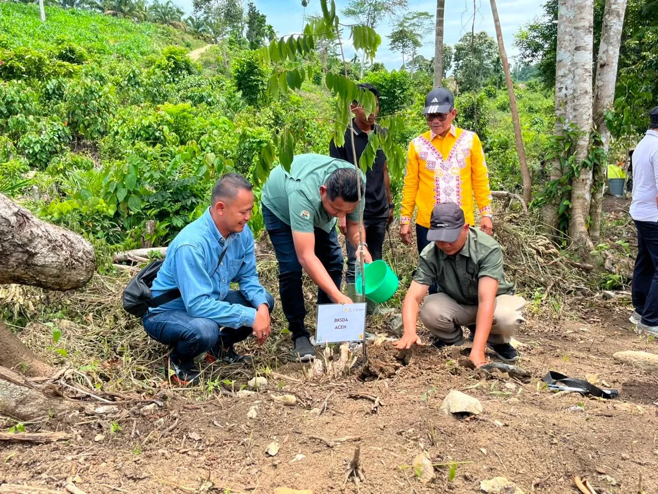 PHE NSO Mengembalikan Jalan Pulang Gajah Melalui Restorasi Lahan Kritis di Aceh Utara