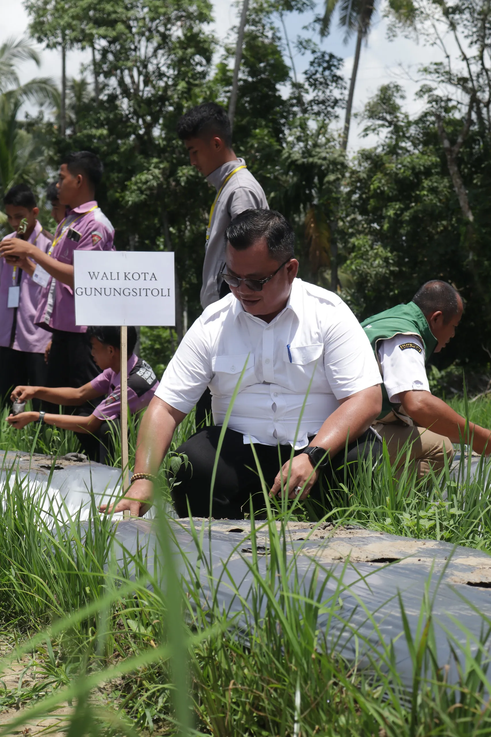 Wali Kota Sowa' Laoli Pimpin Penanaman Perdana Cabai Perkuat Kedaulatan Pangan
