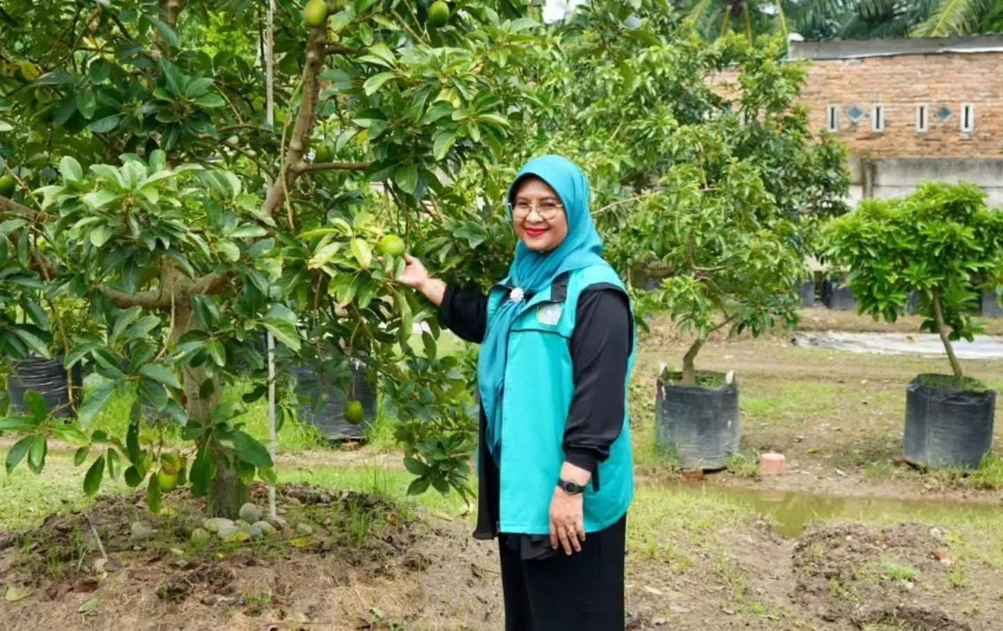TP PKK Binjai Hadiri Pembinaan Lomba Lingkungan Bersih Sehat di Jati Karya