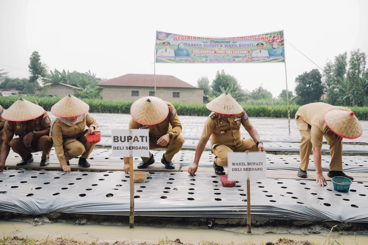 Bupati Tanam Bawang Merah di Demplot Tanjungmorawa