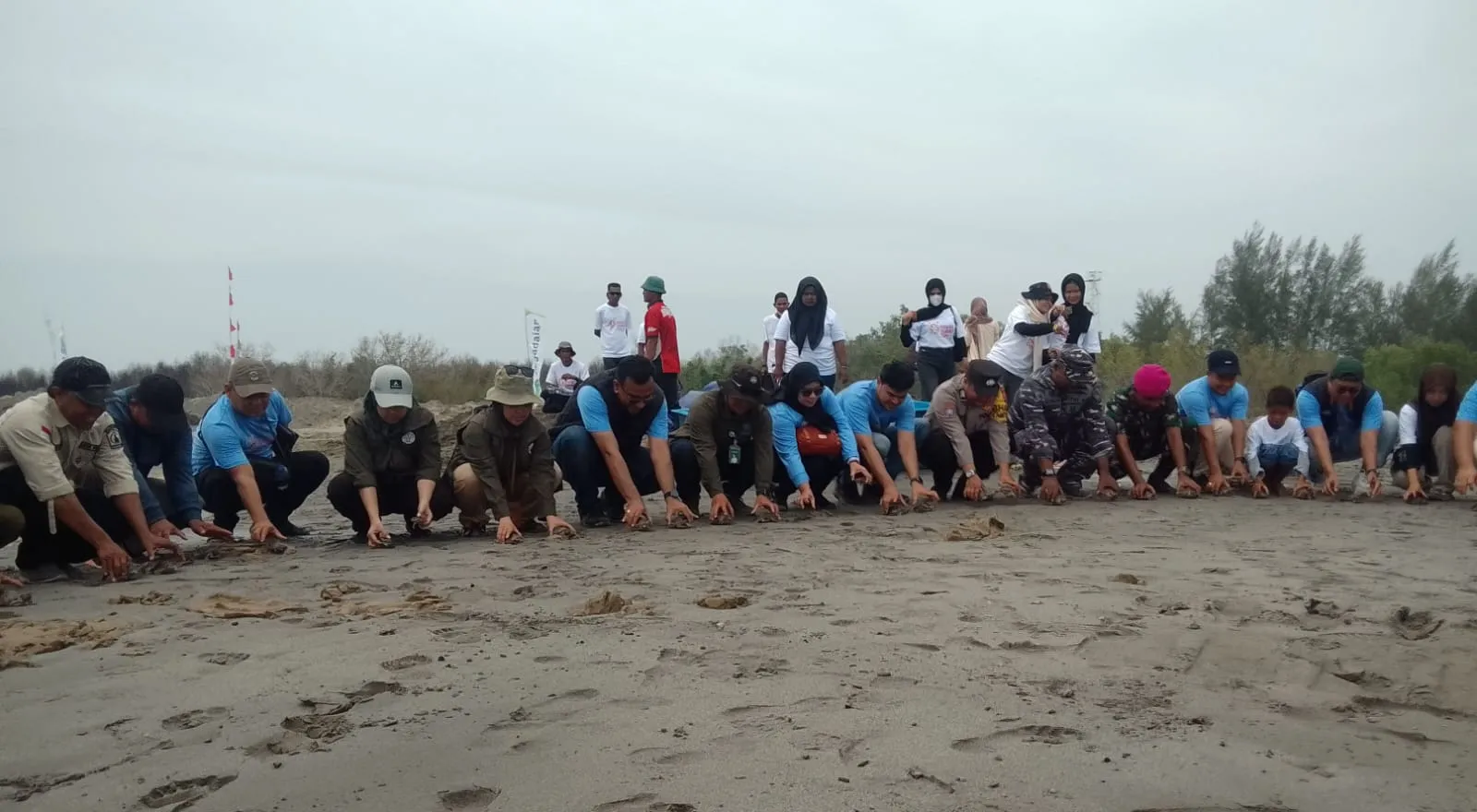 Tidak Semudah Membalikkan Telapak Tangan: YSLI Lestarikan Satwa Dilindungi Tuntong Laut
