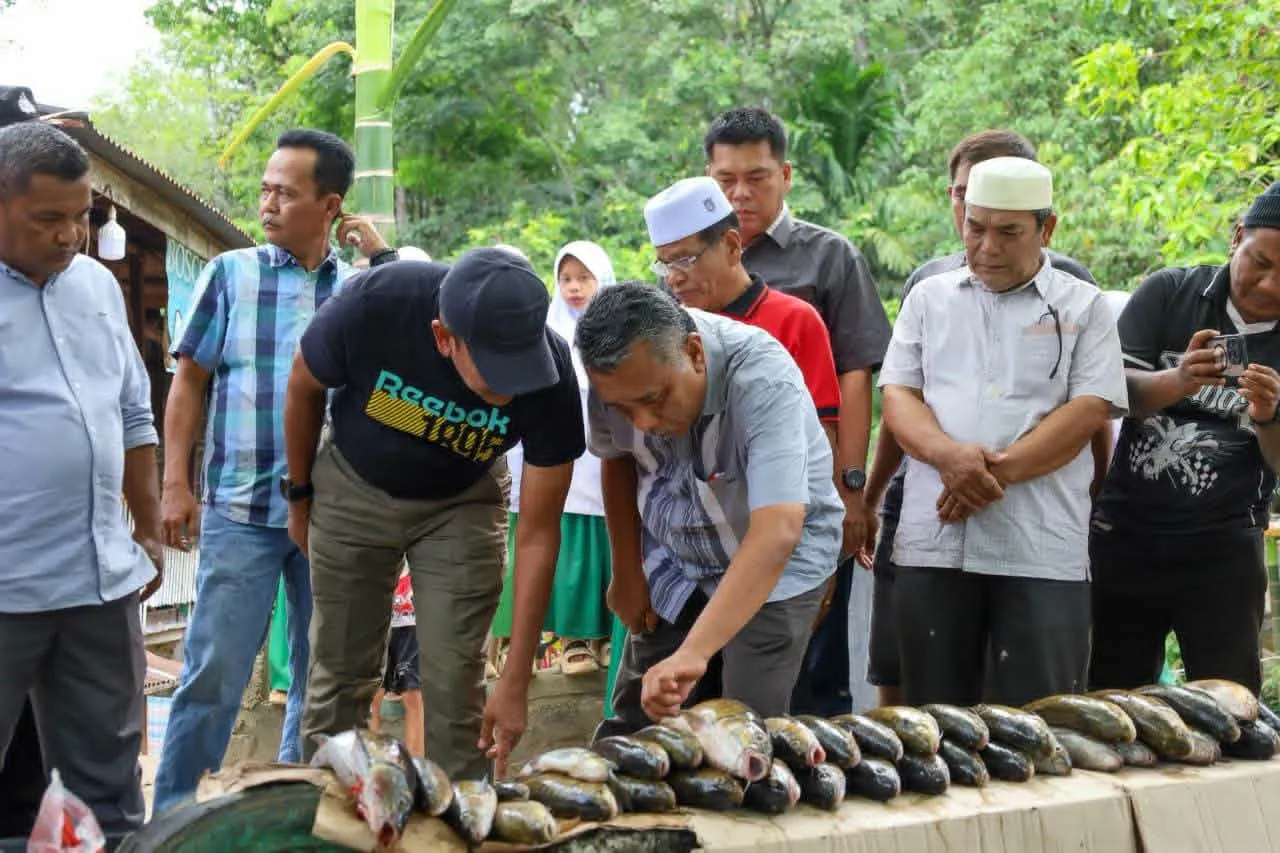 Untuk Selamatkan Ikan di Lubuk Larangan Tambangan Jae, Pemkab Madina Wacanakan Bangun Bendung