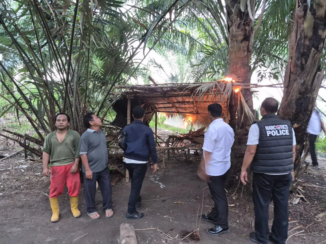 Viral Sarang Narkoba, Polisi Ratakan Dua Gubuk di Silinda