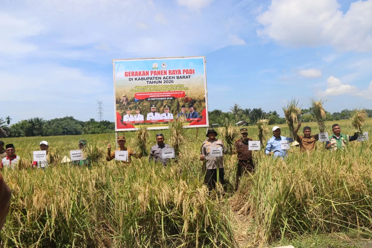 Panen Raya Aceh Barat, Gubernur Mualem: Sejalan dengan Misi Pemerintah Aceh