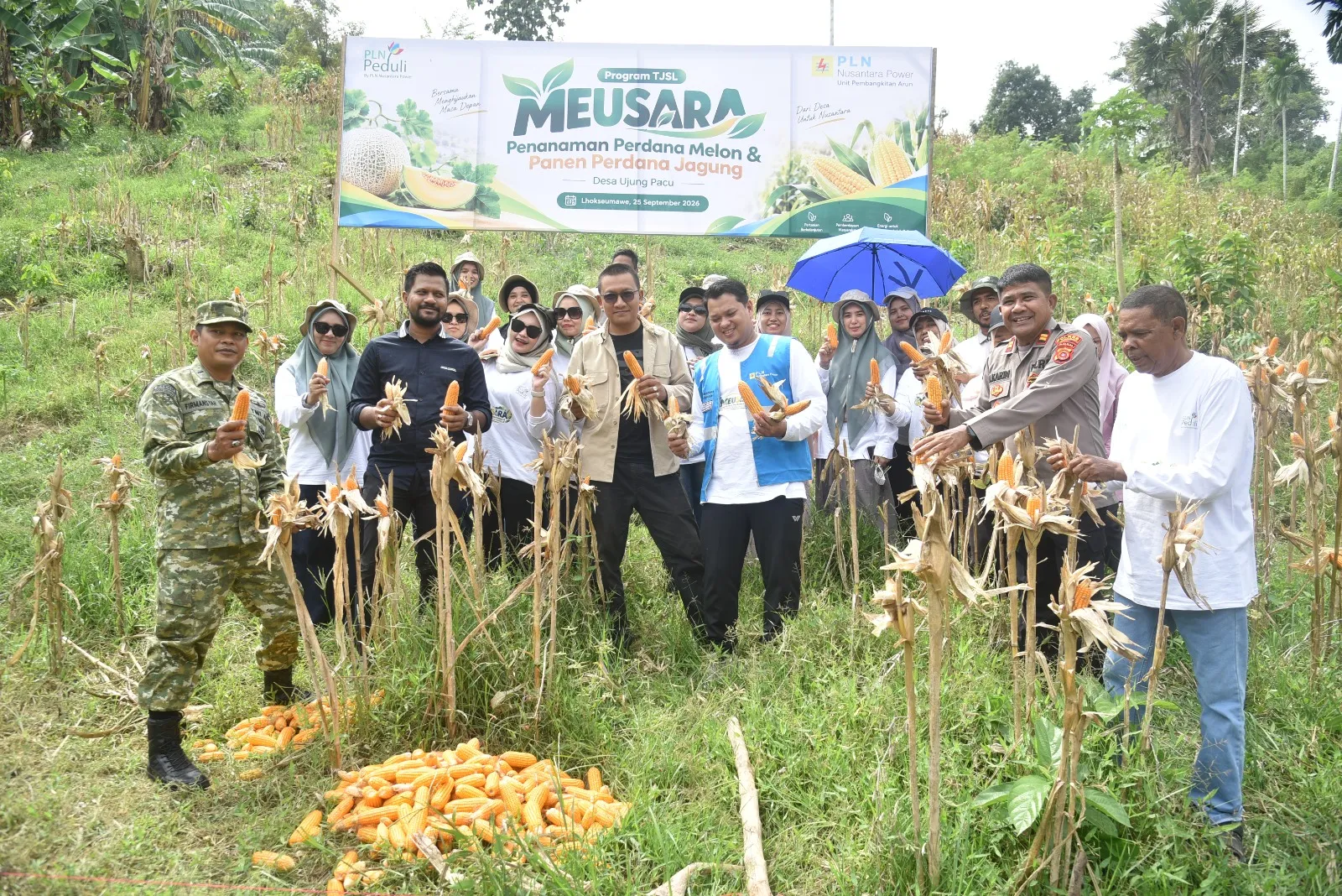 Panen Perdana 1 Ton Jagung, PLN NP UP Arun Dorong Petani Lhokseumawe Naik Kelas Lewat Program Meusara