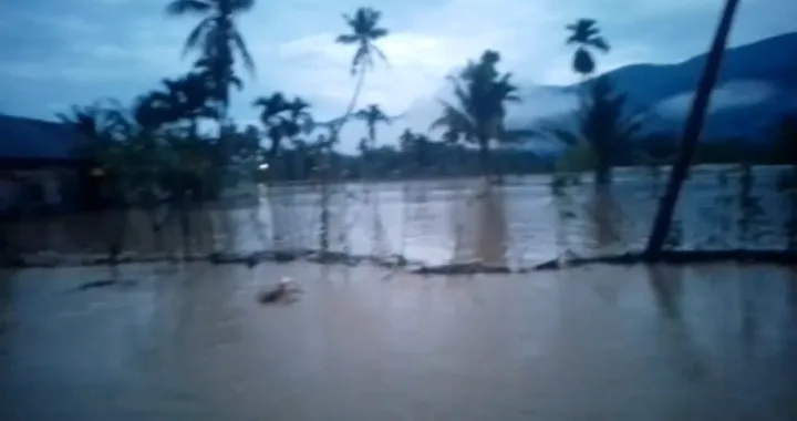 Banjir Rendam Permukiman dan Ratusan Lahan Pertanian di Enam Kecamatan di Aceh Tenggara