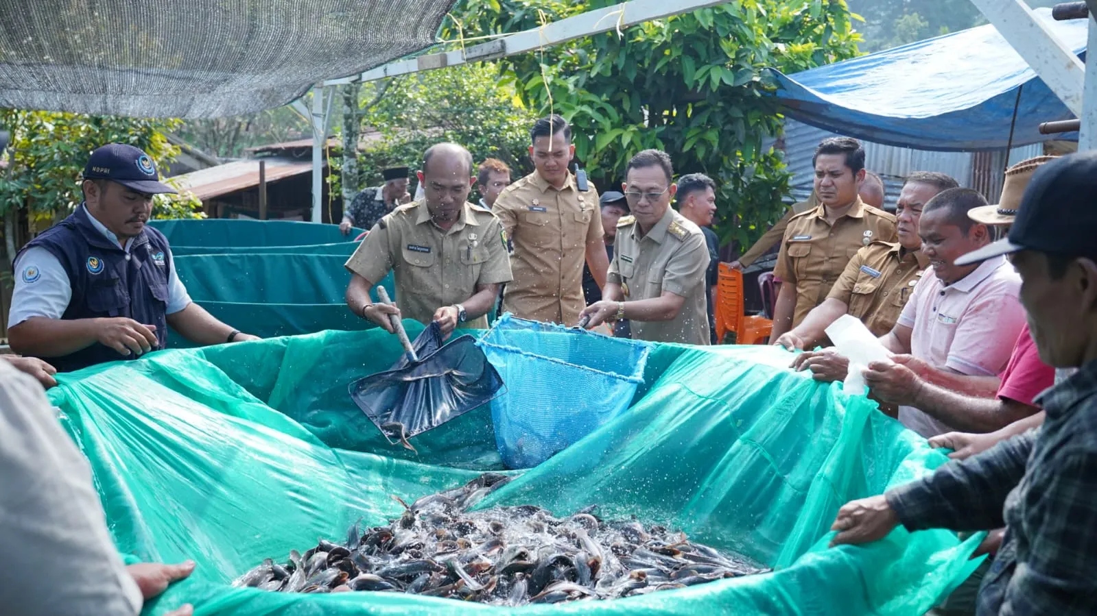 Rakyat Tapsel Rasakan Hasil Dan Manfaat Gerakan Seribu Kolam