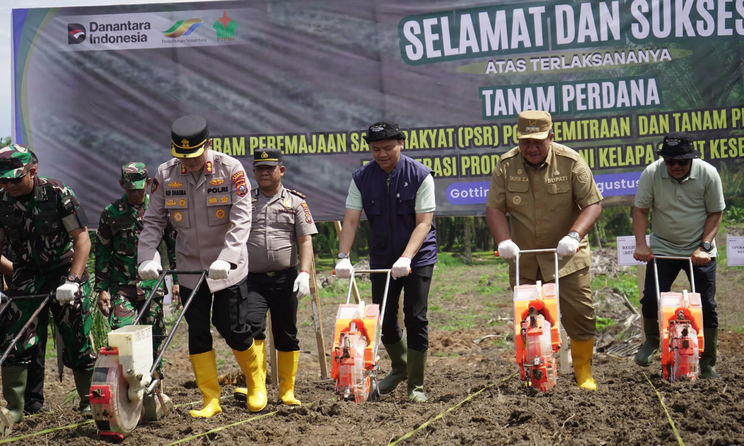 PTPN IV PalmCo Dorong Peremajaan Sawit Rakyat Disertai Tanam Padi Gogo Di Asahan
