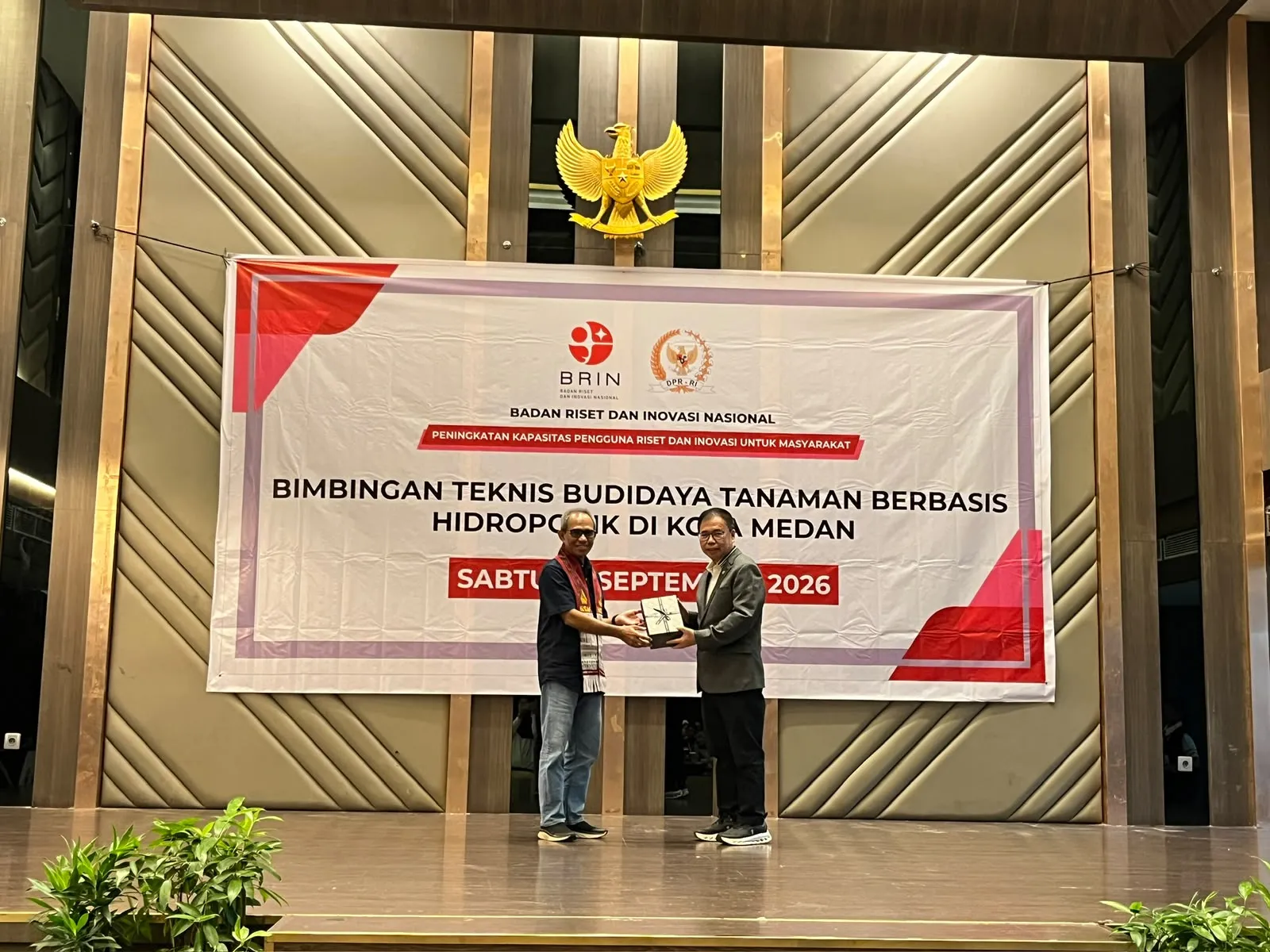 Sofyan Tan Dorong Hidroponik Jadi Solusi Ketahanan Pangan Dan Pemberdayaan Disabilitas