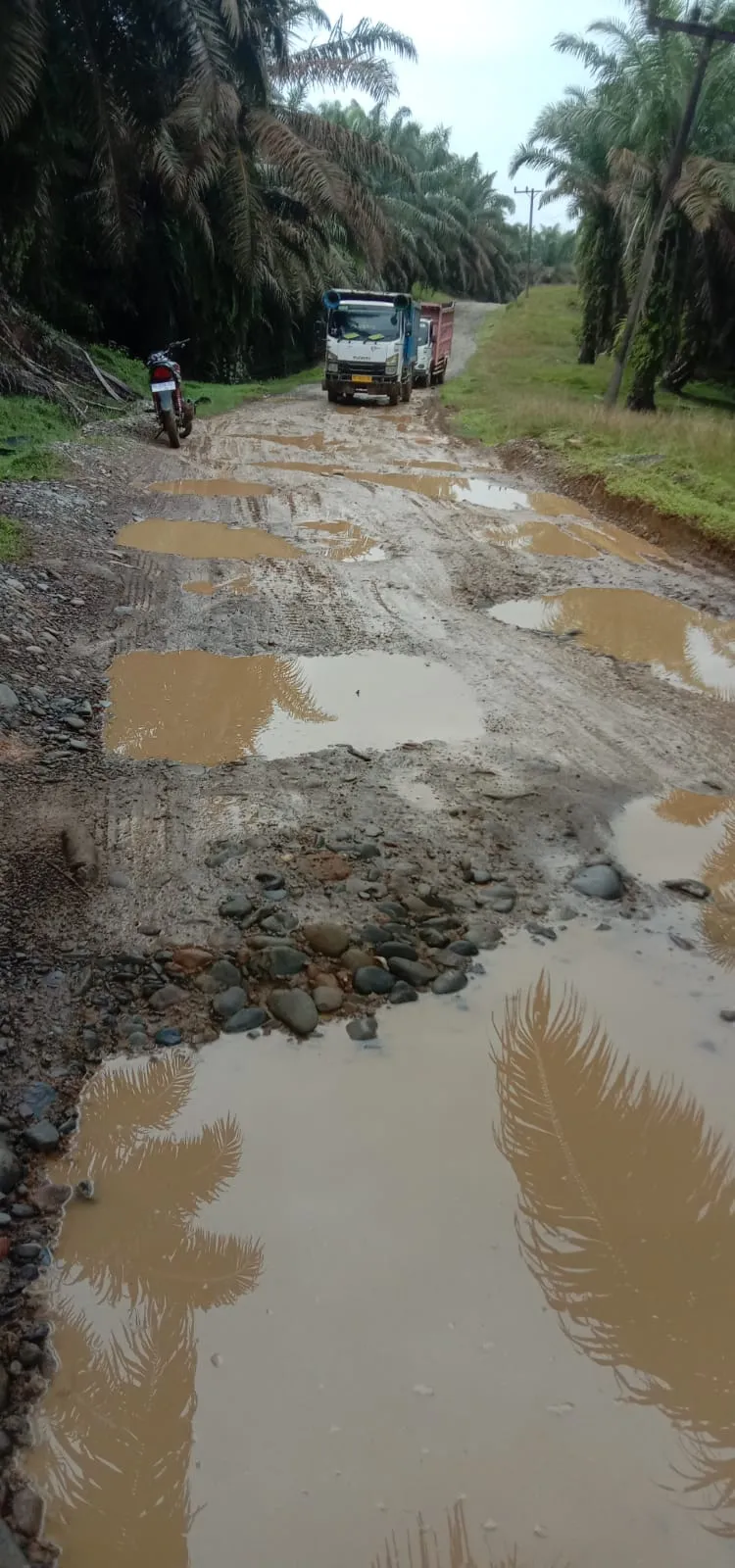 Jalan Dan Jembatan Rusak, Masyarakat Minta Manager Kebun Kwala Sawit Peduli