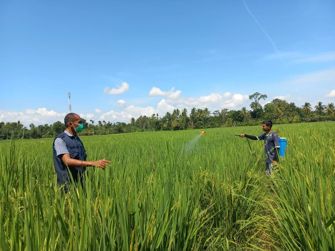 LSM Flofa Dorong Perlindungan Petani untuk Jamin Ketahanan Pangan Aceh