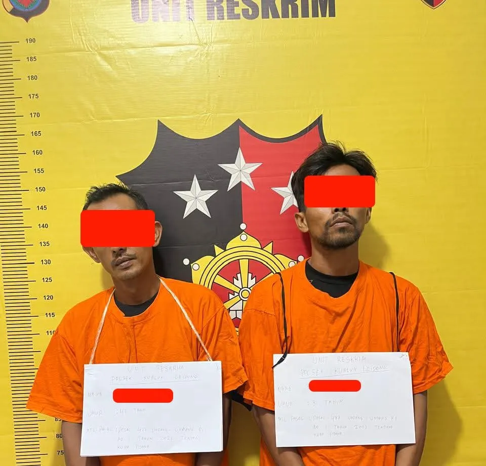 Dua Pencuri Sawit Diciduk Polsek Kualuh Ledong