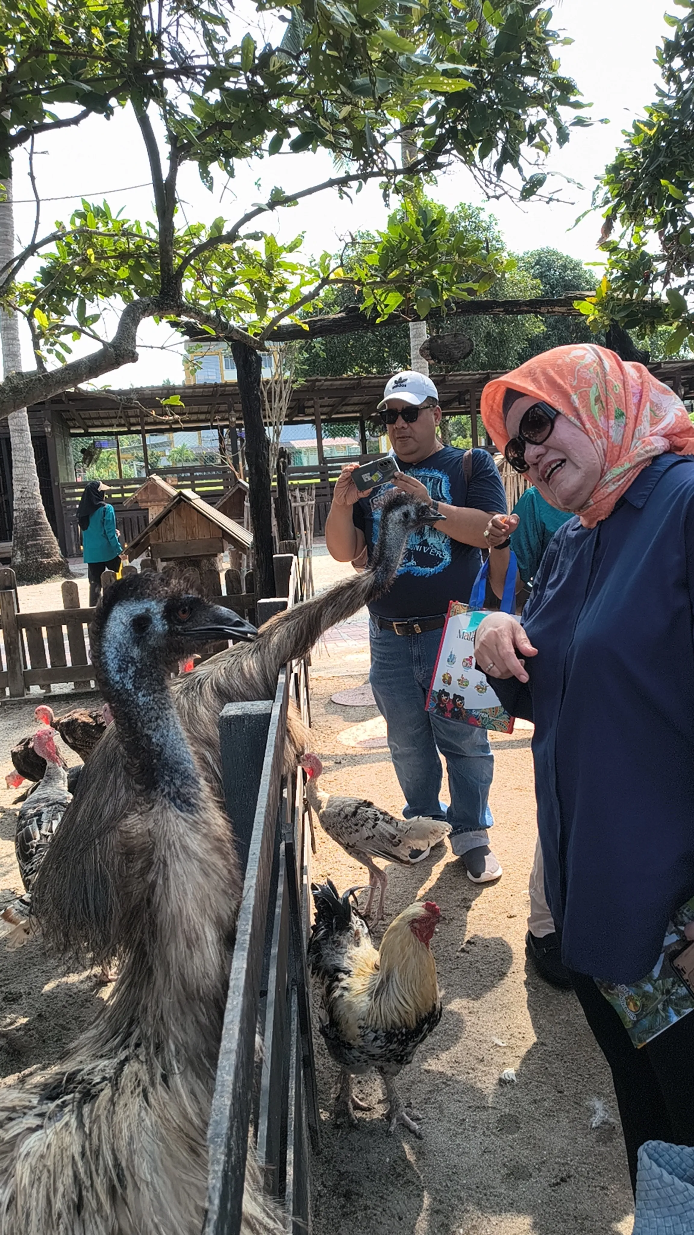 Kampung Agong Penang: Perpaduan Romantisme dan Kedamaian Desa