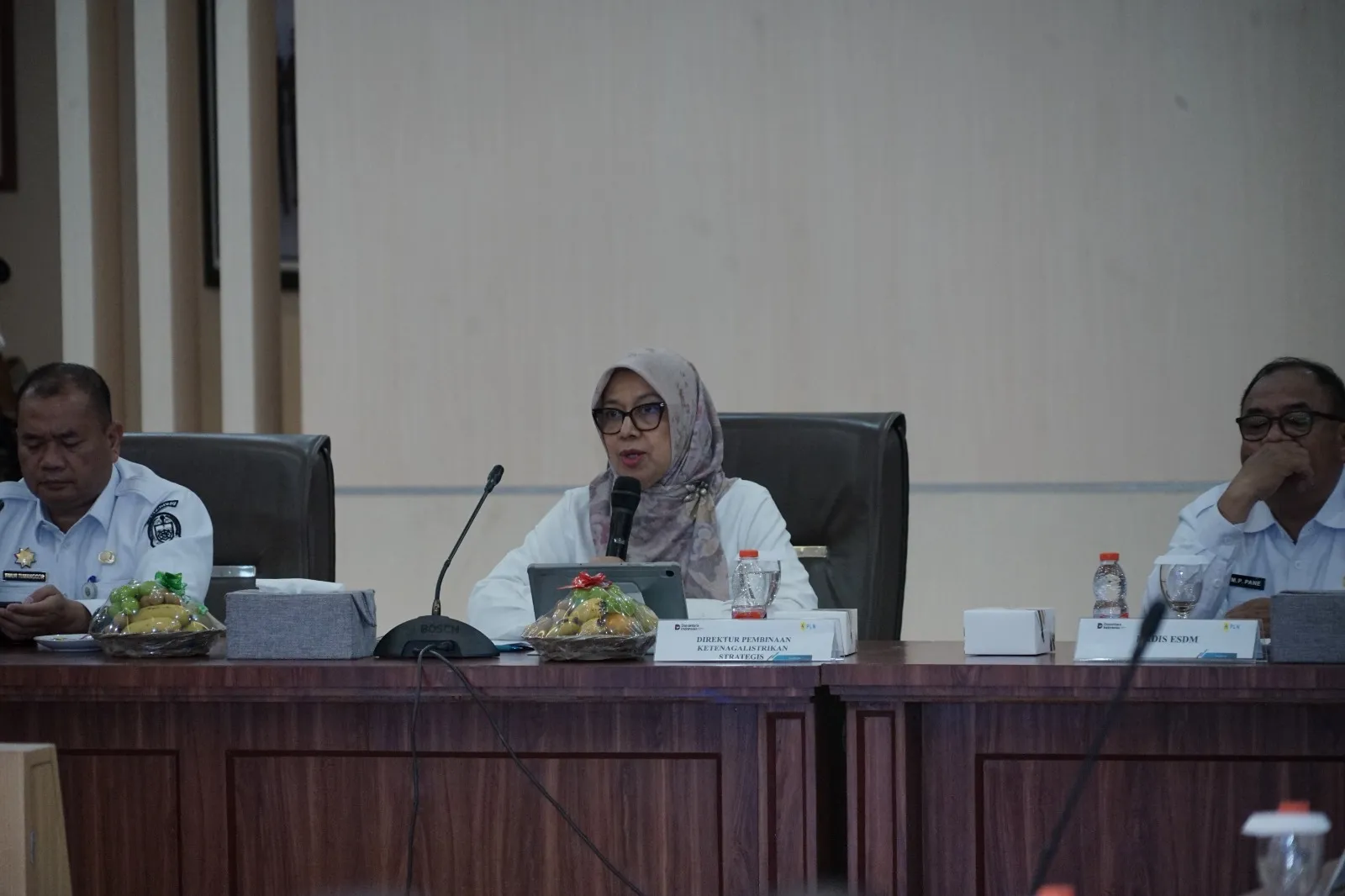 Percepat Listrik Perdesaan, Kementerian ESDM Bersama PLN dan Pemprov Sumut Sinkronkan Usulan Lokasi